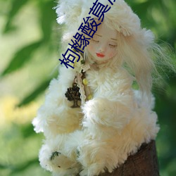 枸橼酸莫沙必利片(片)