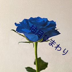 柚月ひまわり