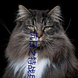 抗日之特战兵王
