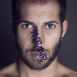 外国(guó)小(xiǎo)说