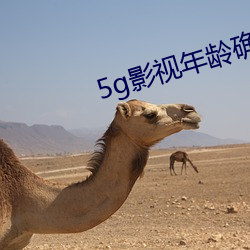 5g影視年齡確認大象