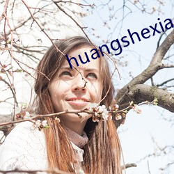 huangshexiaoshuo （散兵游勇）