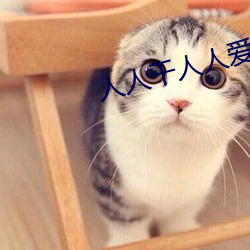 人人干人人爱