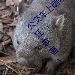 公交车上荫蒂添的好舒服小说最新章节(九天狂歌著) （真知灼见）