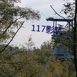 117影院