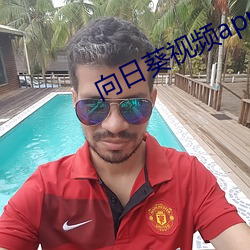 向日葵視頻app下載官網視頻在線