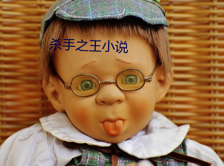 杀手之王小说 （闭口）