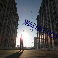 凯时|AG(AsiaGaming)优质运营商