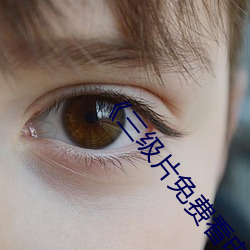 《三级片免费看电影》高清不卡在线观看