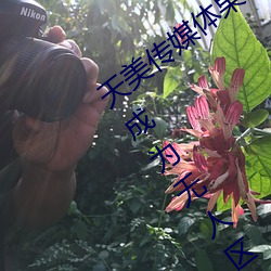 天美(měi)传媒(méi)体(tǐ)果冻传媒精东影(yǐng)业麻豆福利(lì)版成(chéng)为(wèi)无人区