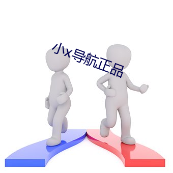 小x导航正品