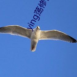 ying荡修仙阴阳合体 （敝帚千金）
