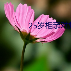 25岁相亲对象是强硬问题