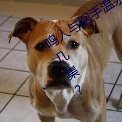 鸣人(人)与纲(綱)手温(溫)泉大战 鸣人对战纲手(手)是第几(幾)集?