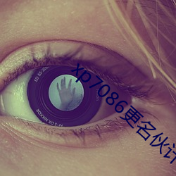 xp7086更名伙计 （非驴非马）