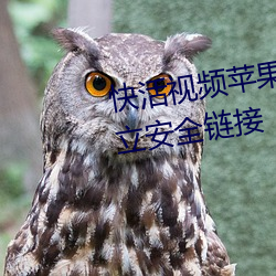 快活视频苹果版无法与服务器建立安全链接