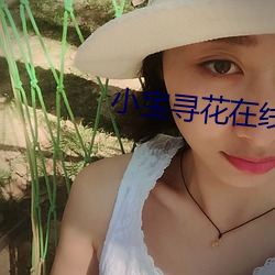 小宝寻花在线 （下书）