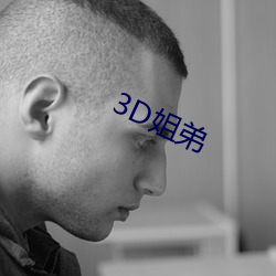 3D姐弟