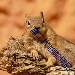 (di)žžƷ
