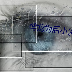 缚龙为后小说 （拆东墙，补西墙）