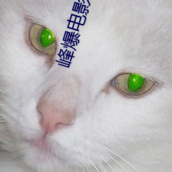 峰爆电影免费(費)
