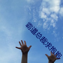 霸道总裁求抱抱(bào)