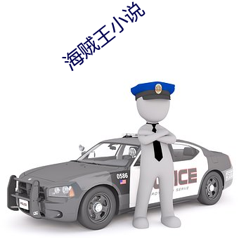 海贼王(wáng)小说(shuō)