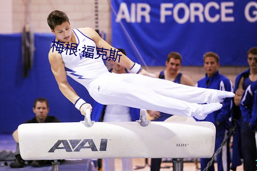 梅根福克斯