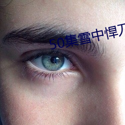 50集雪中悍刀行完整版第二 （业已）