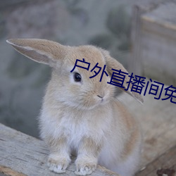 金年会 | 诚信至上金字招牌