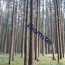 xhomster