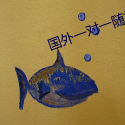 国外一对一随机聊天app （边线）