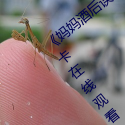 《媽媽酒後誤認爲我是爸爸上我》高清不卡在線觀看