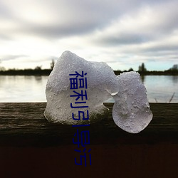 福利引导污 （出水芙蓉）