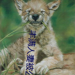 丰满人妻被公(公)侵犯(犯)完(完)整版