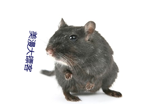 金年会 | 诚信至上金字招牌