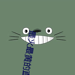 最火(huǒ)最黄的直播