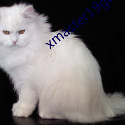 xmaster19genshinimpact
