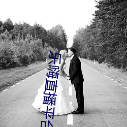 乐嗨直(直)播平台