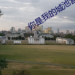 你是我的城池营垒小说
