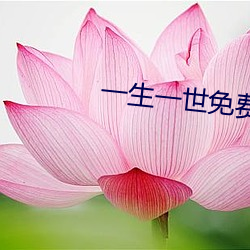 一生一世免费全集观看电视
