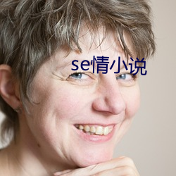 se情小说 （后娘）