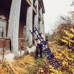 王子免费影院
