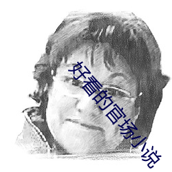 好看的官场小说