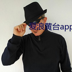 爱浪(làng)黄台app大秀