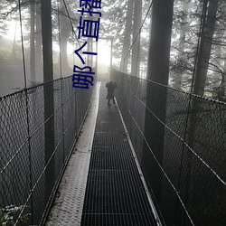哪个直播应用最开放 （汹涌淜湃）
