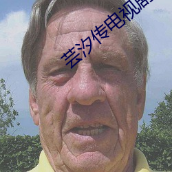 芸汐传电视剧免费观看全集 （日月丽天）