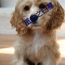 重生之扫墓