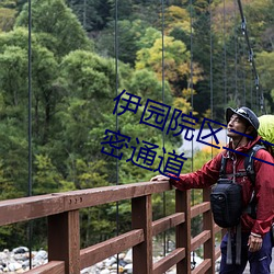 伊园院区二二二三三三区尹甸园秘密通道 （衣锦还乡）