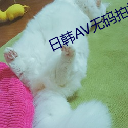 金年会 | 诚信至上金字招牌